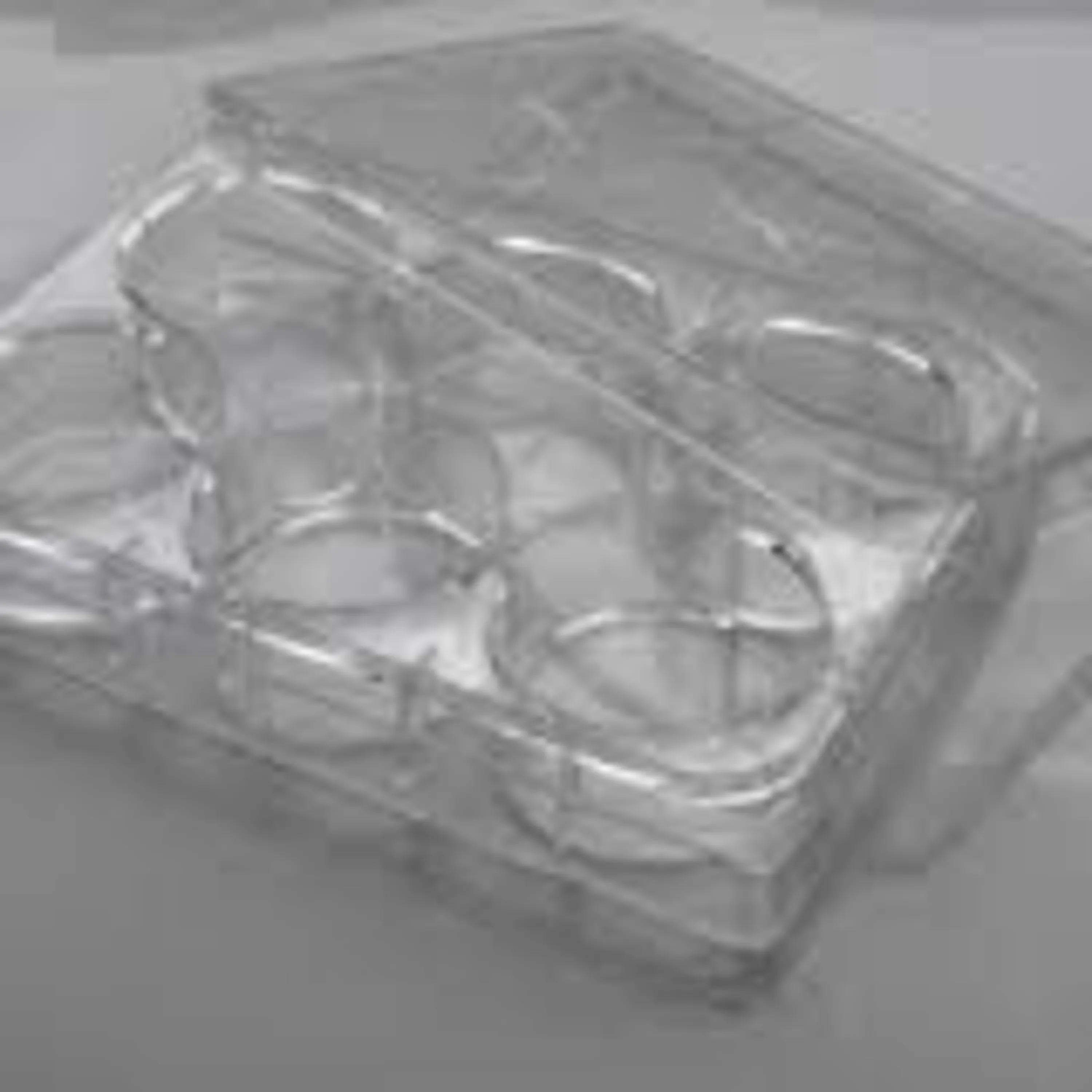 پلیت کشت سلول 6 خانه نچسب